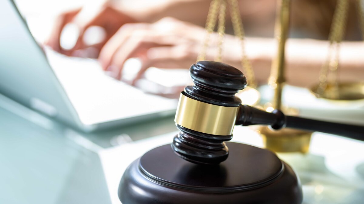 Grundgesetz erlebbar machen