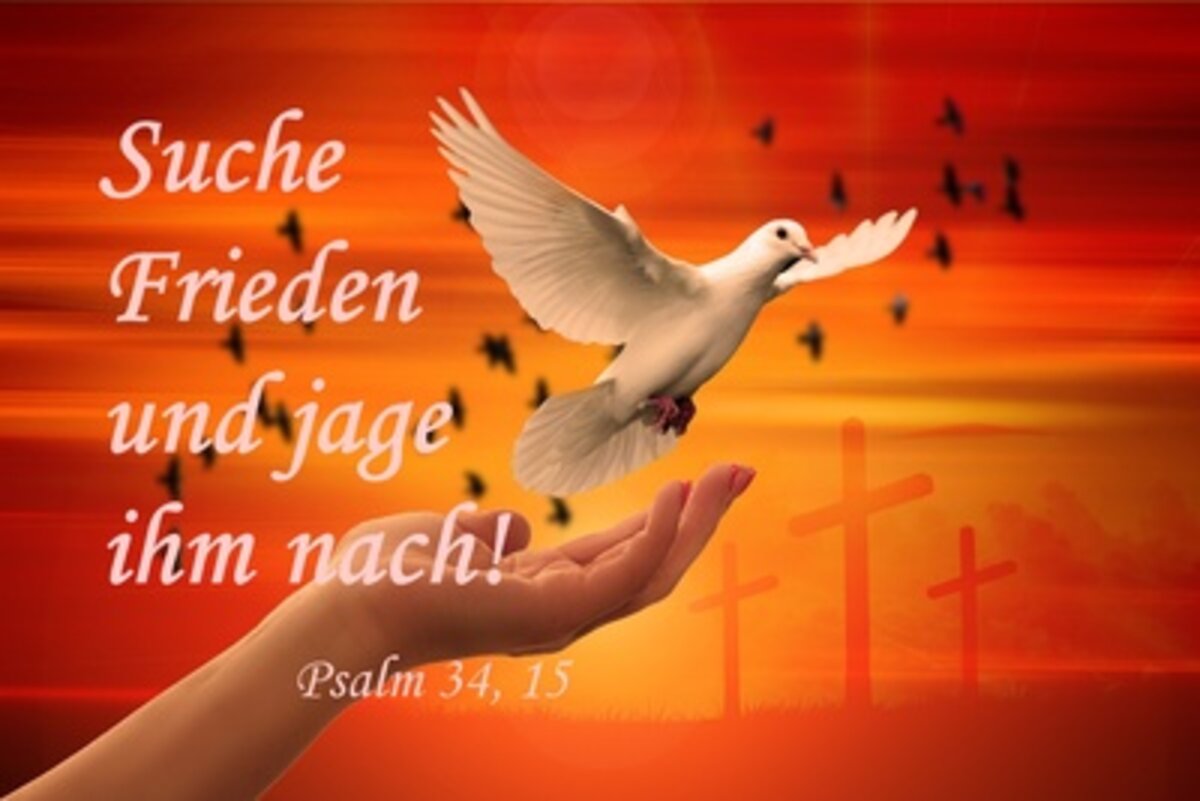 image-2523